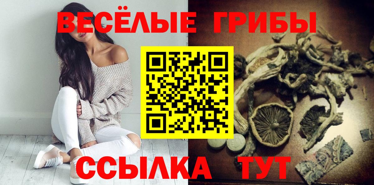 купить наркотики сайты  Псилоцибиновые грибы ЛСД  Краснокаменск  Вход с VPN  Псилоцибиновые грибы Psilocybine cubensis 