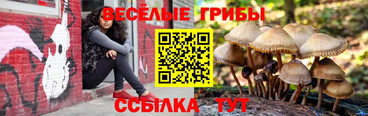 Псилоцибиновые грибы Magic Shrooms Краснокаменск